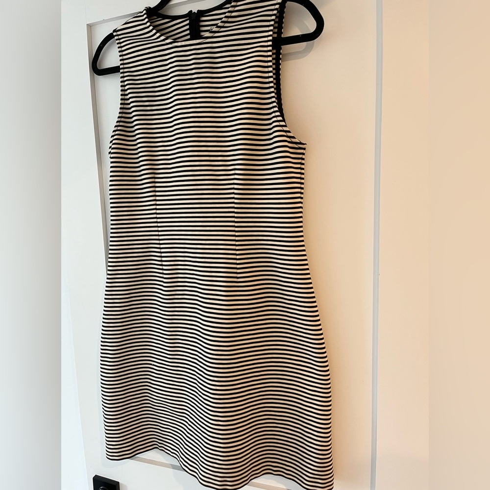 Everlane The Dream Shift Dress